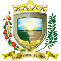 BRASAO CAMARA EM PNG.fw (1)