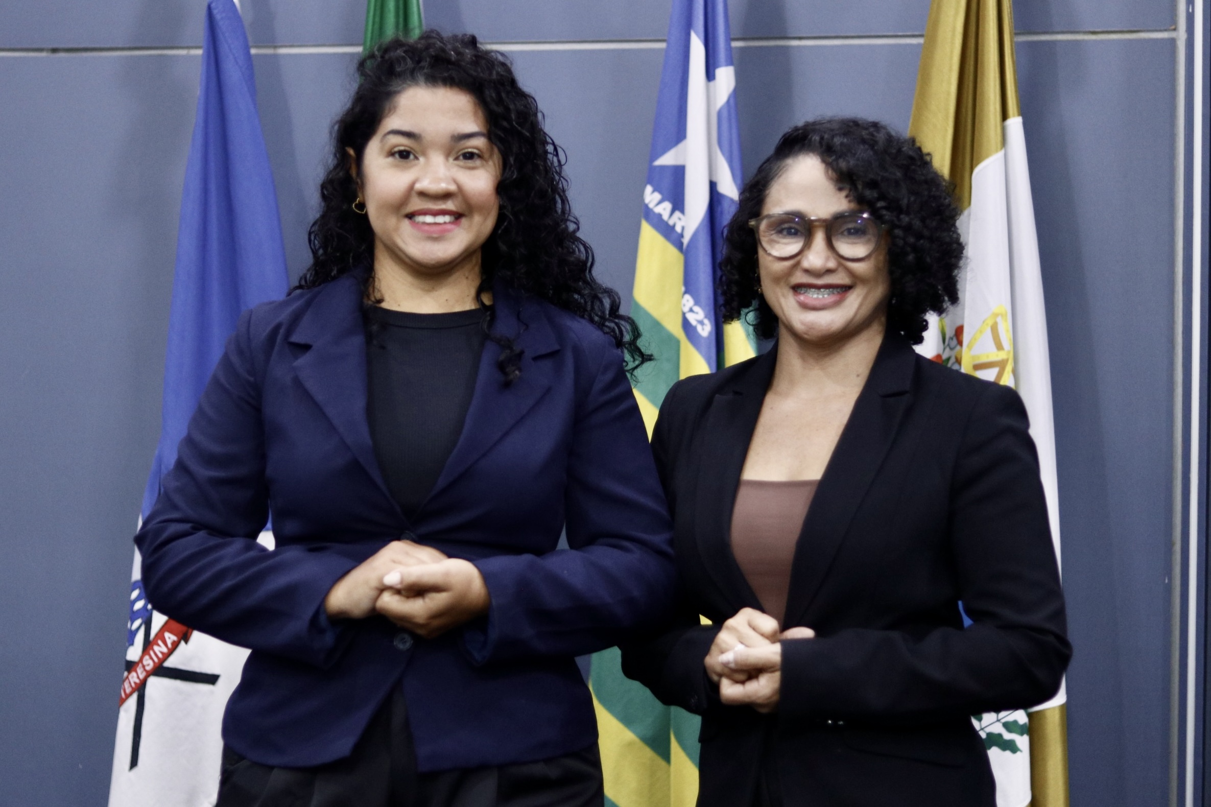 Mais Acessibilidade: Sessões da Câmara de Teresina passam a contar com interpretação em Libras